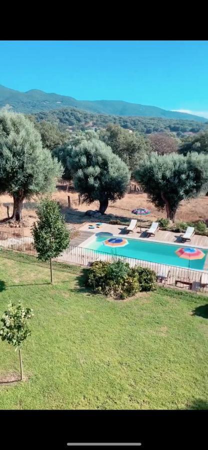 Domaine De Tappa - Casa Filicina Vila Sollacaro Exterior foto