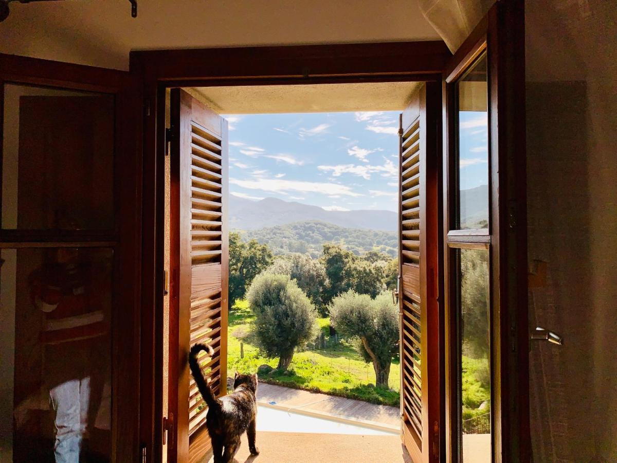 Domaine De Tappa - Casa Filicina Vila Sollacaro Exterior foto