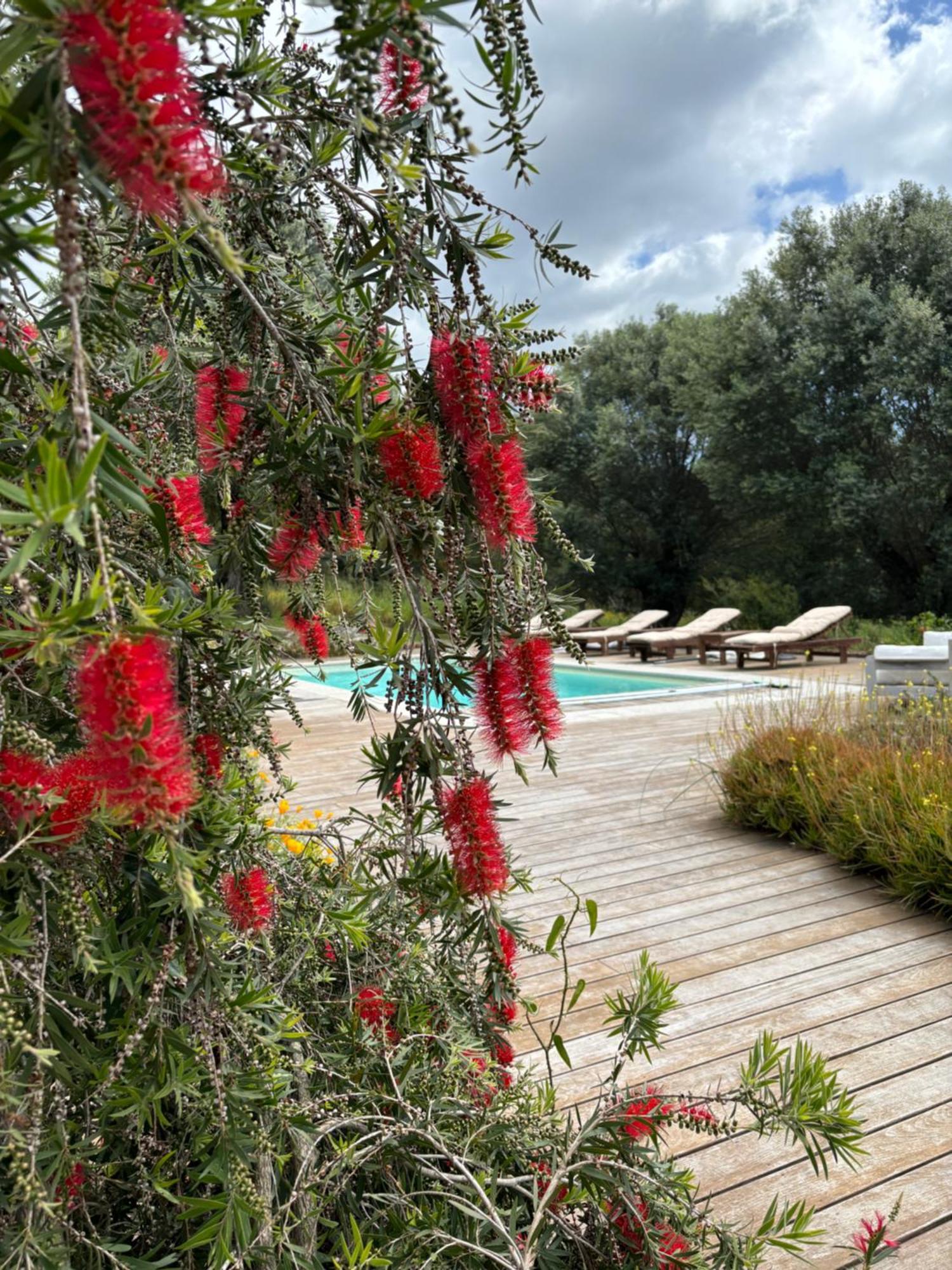 Domaine De Tappa - Casa Filicina Vila Sollacaro Exterior foto