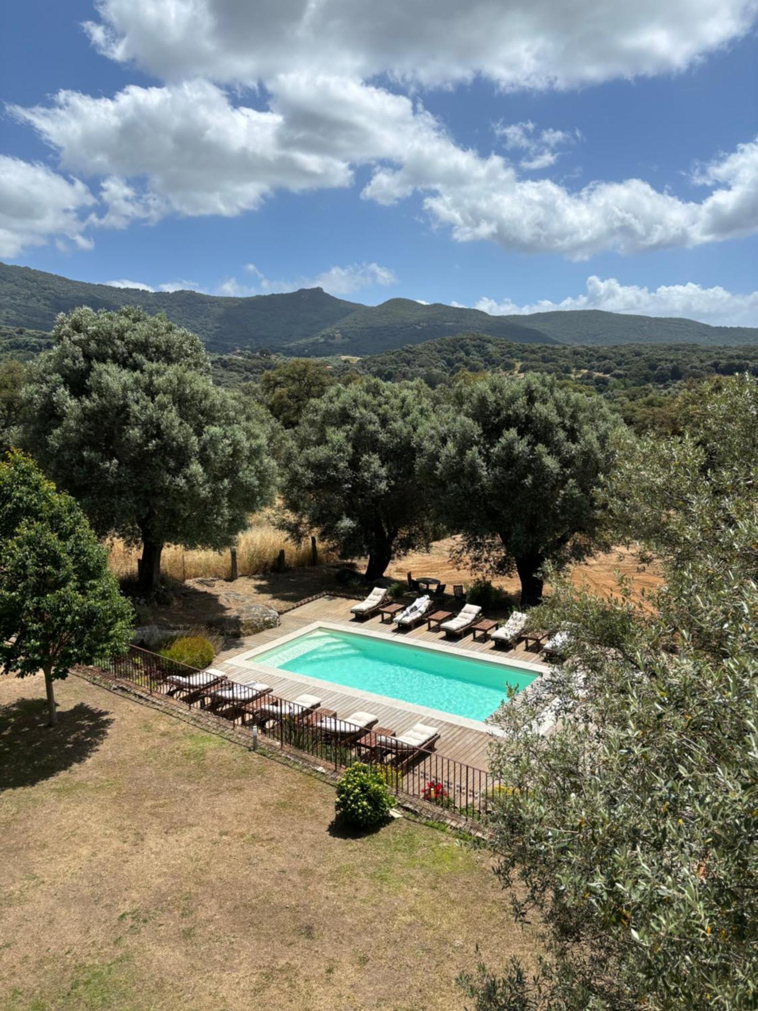 Domaine De Tappa - Casa Filicina Vila Sollacaro Exterior foto